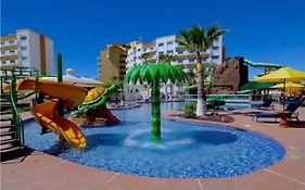Las palmas
